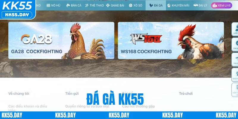 Đá Gà KK55 - Tổng Hợp Các Trận Gà Kinh Điển Nhất 2026