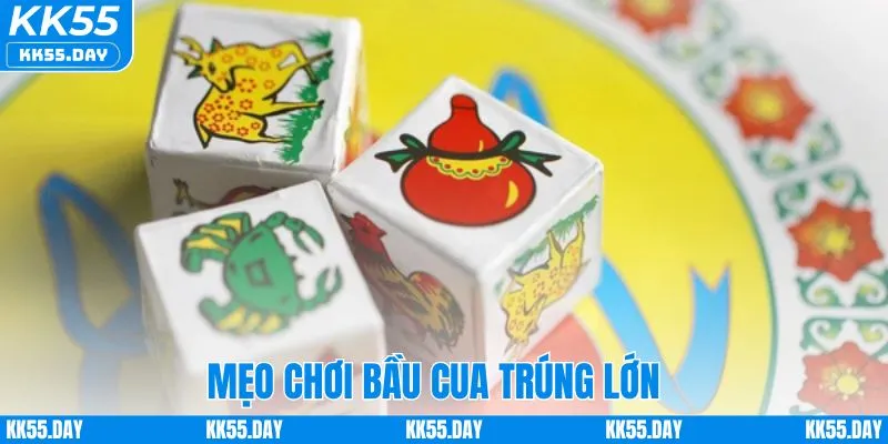 Bầu Cua Online - Game Dân Gian Trực Tuyến Thưởng Cực Khủng 5 Mẹo chơi bầu cua rinh thưởng nhanh